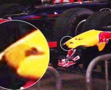 FIA o elastyczności czubka nosa bolidu Red Bulla